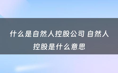 什么是自然人控股公司 自然人控股是什么意思