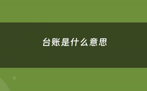 台账是什么意思