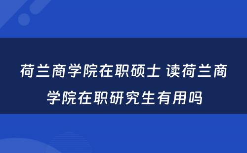 荷兰商学院在职硕士 读荷兰商学院在职研究生有用吗