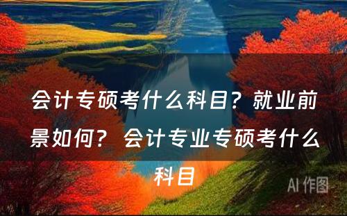 会计专硕考什么科目？就业前景如何？ 会计专业专硕考什么科目