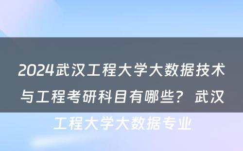 2024武汉工程大学大数据技术与工程考研科目有哪些？ 武汉工程大学大数据专业