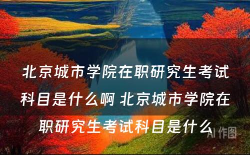 北京城市学院在职研究生考试科目是什么啊 北京城市学院在职研究生考试科目是什么