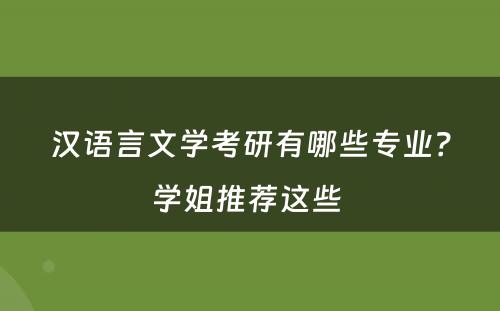 汉语言文学考研有哪些专业？学姐推荐这些 