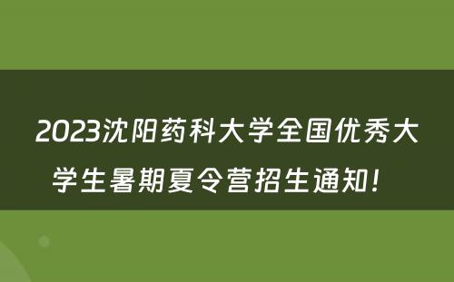 2023沈阳药科大学全国优秀大学生暑期夏令营招生通知！ 