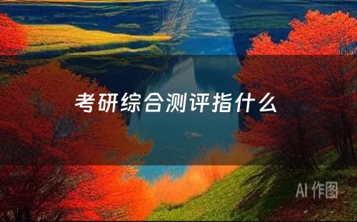 考研综合测评指什么 