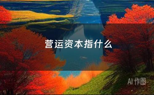  营运资本指什么