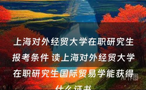 上海对外经贸大学在职研究生报考条件 读上海对外经贸大学在职研究生国际贸易学能获得什么证书