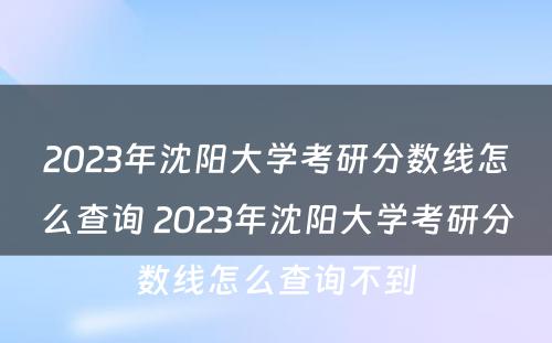 2023年沈阳大学考研分数线怎么查询 2023年沈阳大学考研分数线怎么查询不到