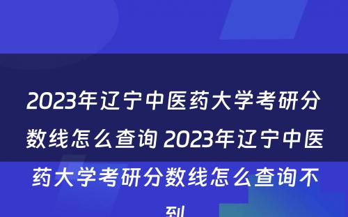 2023年辽宁中医药大学考研分数线怎么查询 2023年辽宁中医药大学考研分数线怎么查询不到