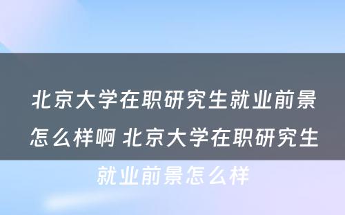 北京大学在职研究生就业前景怎么样啊 北京大学在职研究生就业前景怎么样