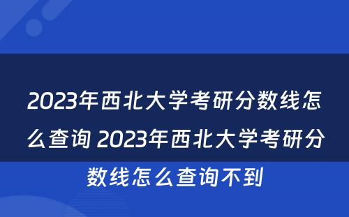2023年西北大学考研分数线怎么查询 2023年西北大学考研分数线怎么查询不到