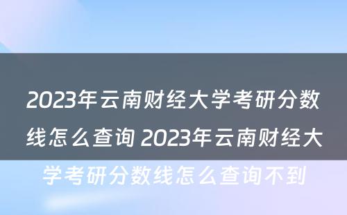 2023年云南财经大学考研分数线怎么查询 2023年云南财经大学考研分数线怎么查询不到