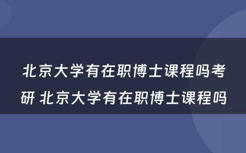 北京大学有在职博士课程吗考研 北京大学有在职博士课程吗