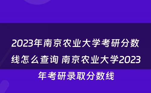 2023年南京农业大学考研分数线怎么查询 南京农业大学2023年考研录取分数线