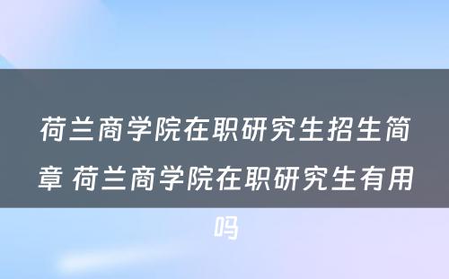 荷兰商学院在职研究生招生简章 荷兰商学院在职研究生有用吗