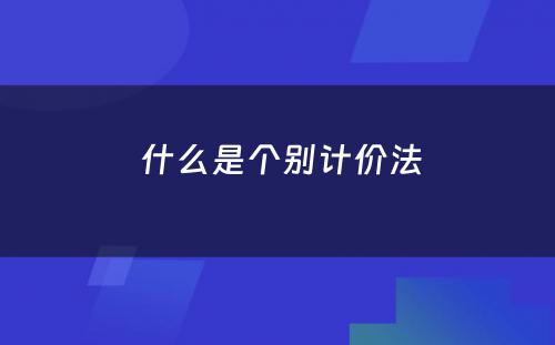  什么是个别计价法