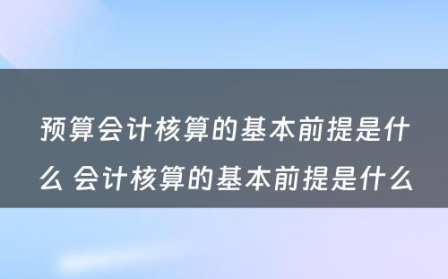 预算会计核算的基本前提是什么 会计核算的基本前提是什么