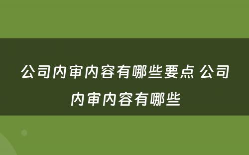 公司内审内容有哪些要点 公司内审内容有哪些