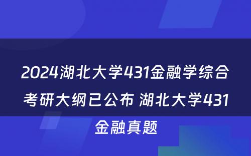 2024湖北大学431金融学综合考研大纲已公布 湖北大学431金融真题