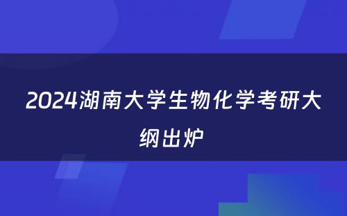 2024湖南大学生物化学考研大纲出炉 