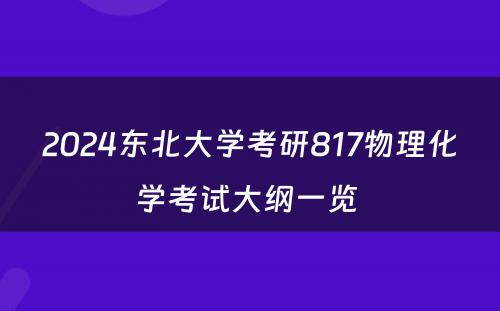2024东北大学考研817物理化学考试大纲一览 