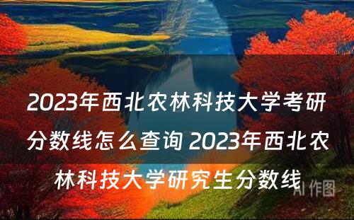 2023年西北农林科技大学考研分数线怎么查询 2023年西北农林科技大学研究生分数线