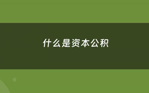  什么是资本公积