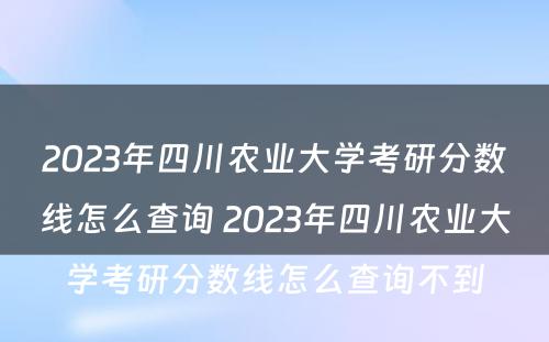 2023年四川农业大学考研分数线怎么查询 2023年四川农业大学考研分数线怎么查询不到