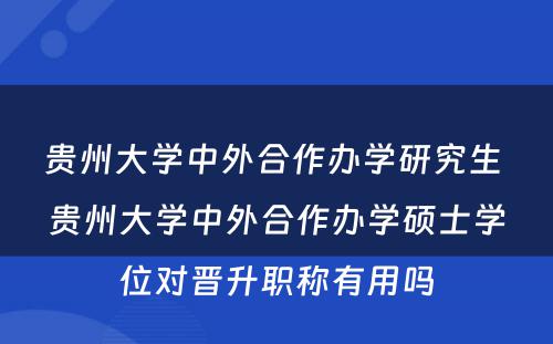 贵州大学中外合作办学研究生 贵州大学中外合作办学硕士学位对晋升职称有用吗