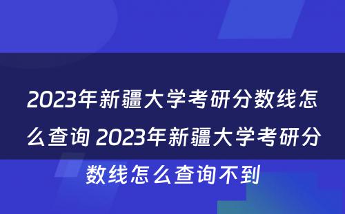 2023年新疆大学考研分数线怎么查询 2023年新疆大学考研分数线怎么查询不到