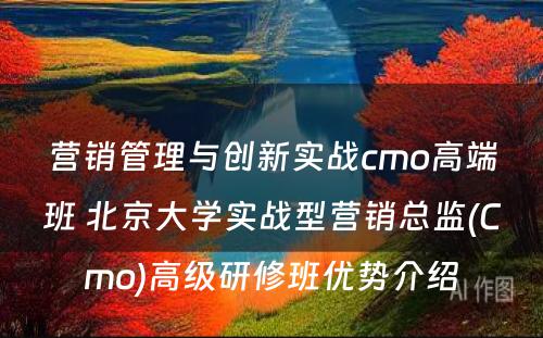 营销管理与创新实战cmo高端班 北京大学实战型营销总监(Cmo)高级研修班优势介绍