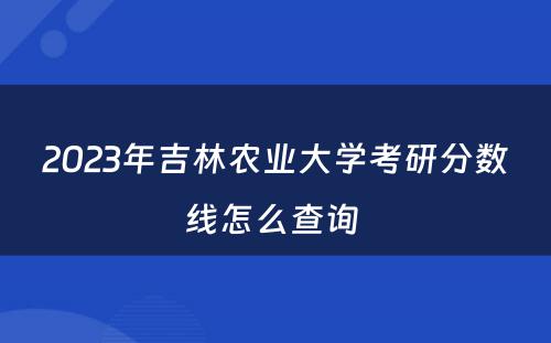 2023年吉林农业大学考研分数线怎么查询 