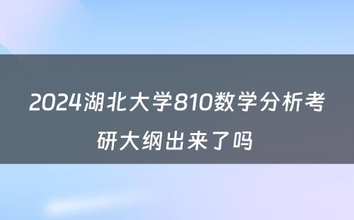 2024湖北大学810数学分析考研大纲出来了吗 