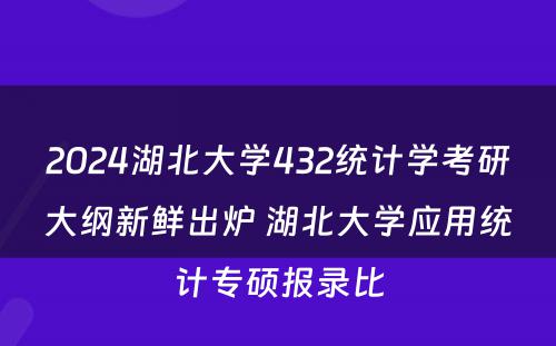 2024湖北大学432统计学考研大纲新鲜出炉 湖北大学应用统计专硕报录比