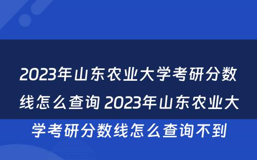 2023年山东农业大学考研分数线怎么查询 2023年山东农业大学考研分数线怎么查询不到