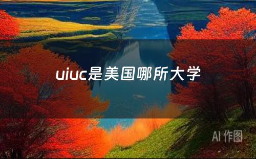 uiuc是美国哪所大学