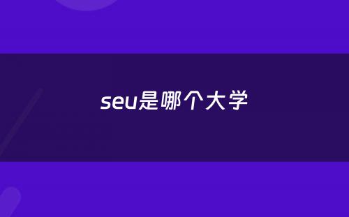 seu是哪个大学