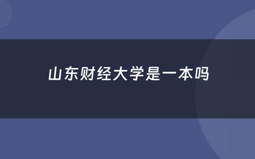 山东财经大学是一本吗