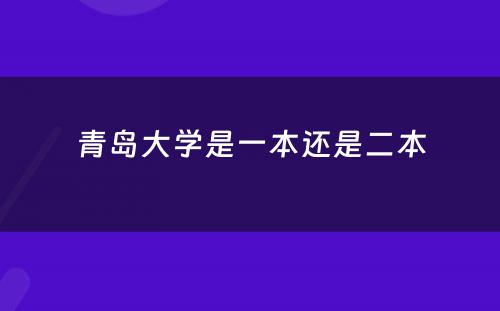 青岛大学是一本还是二本