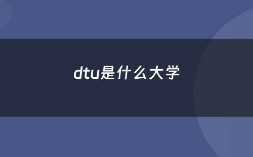 dtu是什么大学