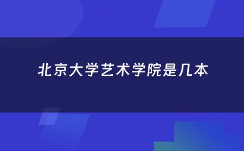 北京大学艺术学院是几本