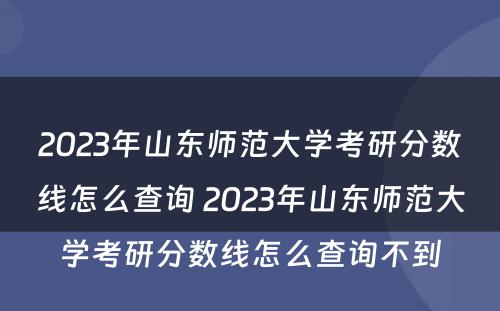 2023年山东师范大学考研分数线怎么查询 2023年山东师范大学考研分数线怎么查询不到