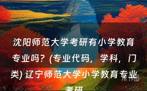 沈阳师范大学考研有小学教育专业吗？(专业代码，学科，门类) 辽宁师范大学小学教育专业考研