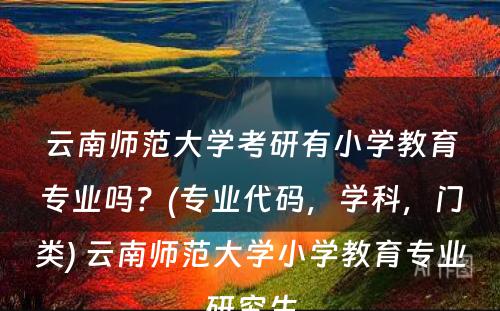 云南师范大学考研有小学教育专业吗？(专业代码，学科，门类) 云南师范大学小学教育专业研究生