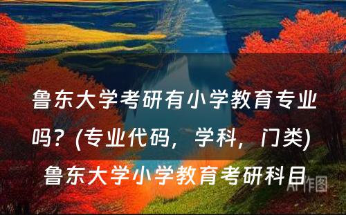 鲁东大学考研有小学教育专业吗？(专业代码，学科，门类) 鲁东大学小学教育考研科目