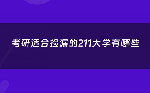 考研适合捡漏的211大学有哪些