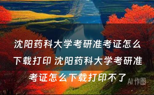 沈阳药科大学考研准考证怎么下载打印 沈阳药科大学考研准考证怎么下载打印不了