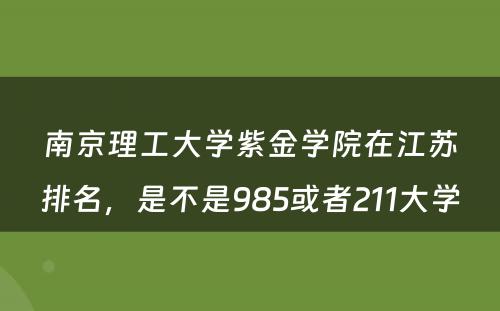 南京理工大学紫金学院在江苏排名，是不是985或者211大学