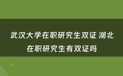 武汉大学在职研究生双证 湖北在职研究生有双证吗