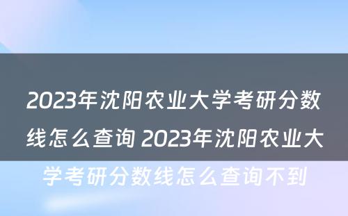 2023年沈阳农业大学考研分数线怎么查询 2023年沈阳农业大学考研分数线怎么查询不到